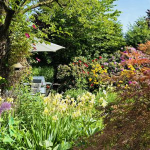 G Garten Rhodo IMG_4864